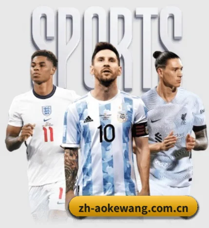五大服务分区,信息按项目分类
